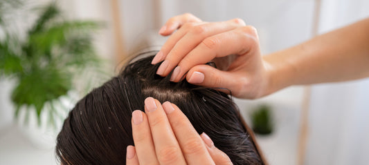 How to Focus on Scalp Health